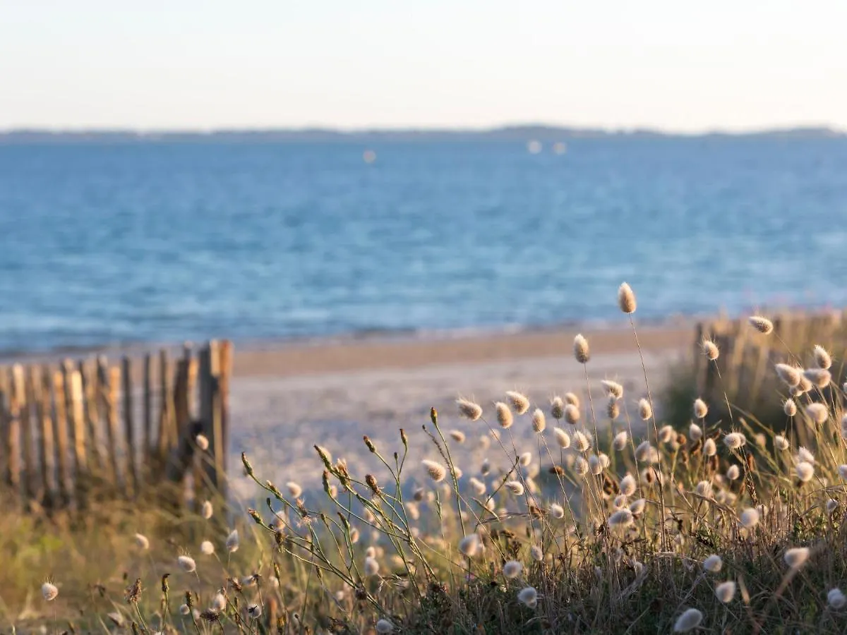 Apartment Les Eiders By Interhome Carnac 0*,
